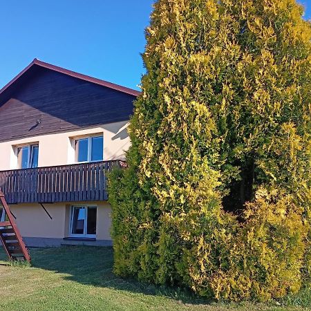 Vila Marianna Destne v Orlickych horach Exteriér fotografie