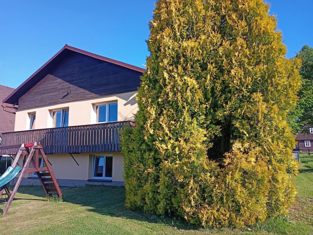 Vila Marianna Destne v Orlickych horach Exteriér fotografie