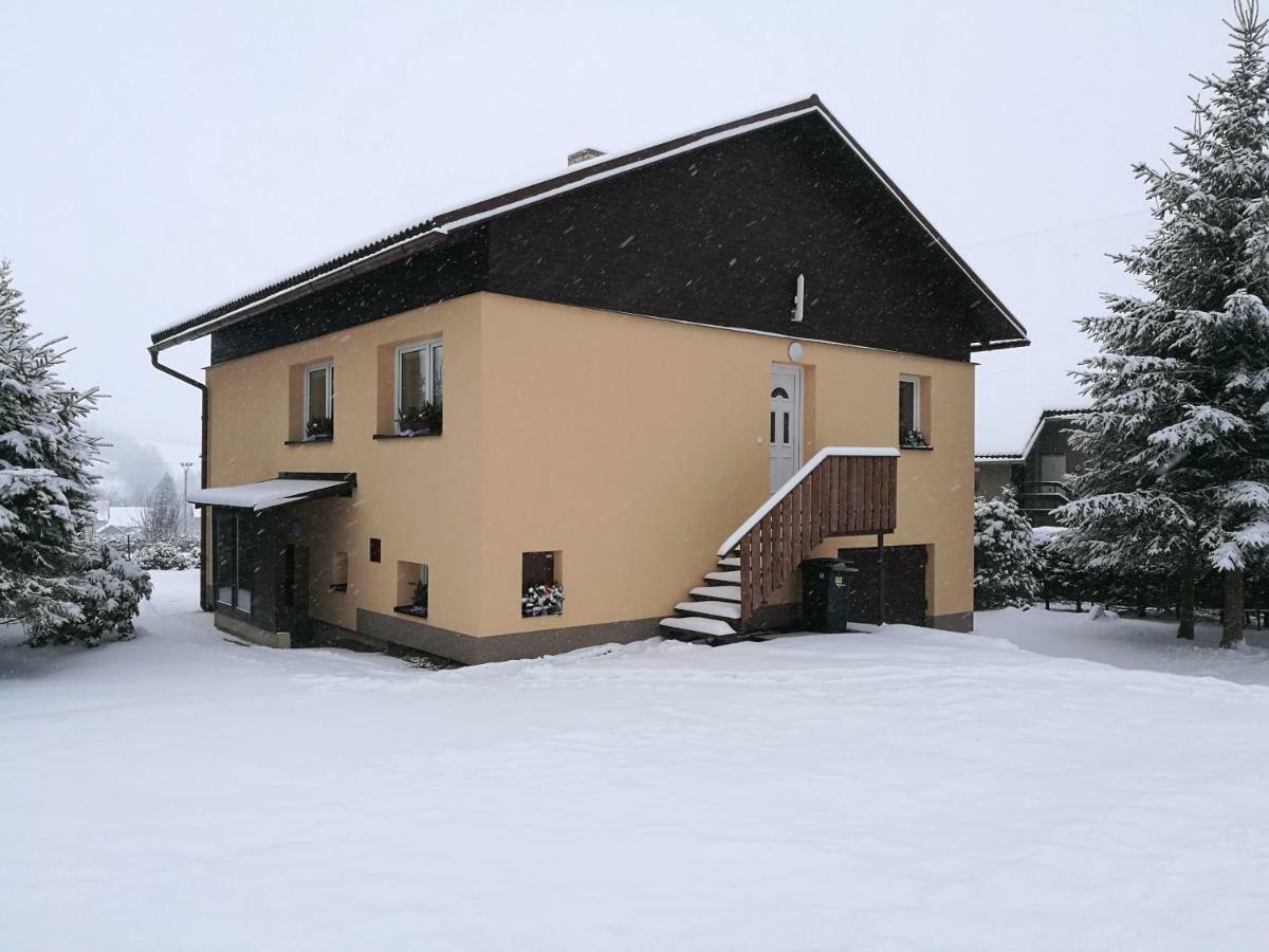 Vila Marianna Destne v Orlickych horach Exteriér fotografie